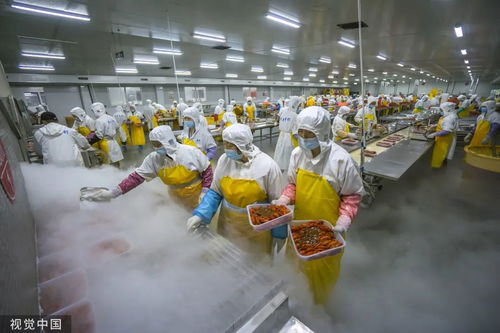 打1折的臨期食品，到底能不能吃？農業科技研發給出答案