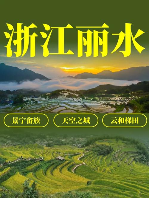 麗水與陜西企業(yè)網(wǎng)站建設(shè)與網(wǎng)絡(luò)推廣全攻略 從搭建到推廣的一站式解決方案