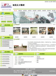 滄州餐飲網(wǎng)的崛起 電子商務(wù)與網(wǎng)站建設(shè)的革新之路